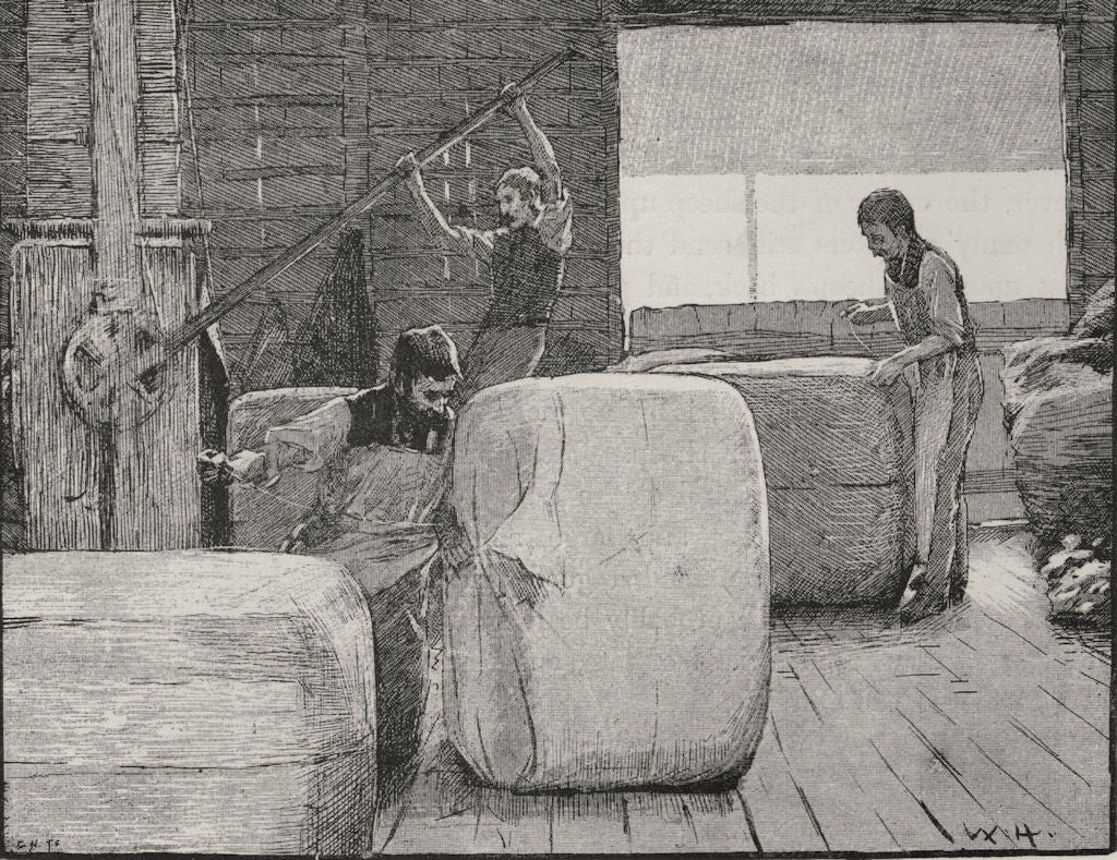 Packing. Sheep farming. Australia 1890 old antique vintage print picture